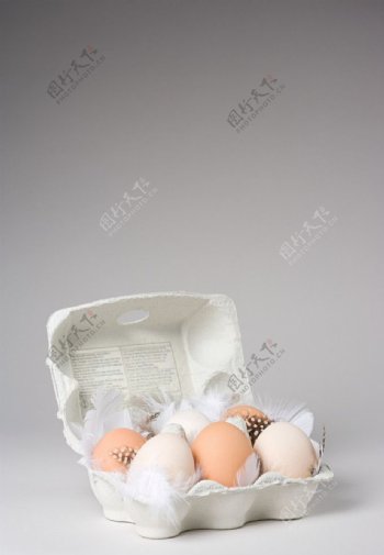 鸡蛋创意素材图片