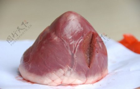 猪解剖心脏侧面图片
