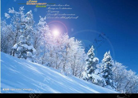 天籁之音系列模板下雪的天空6图片