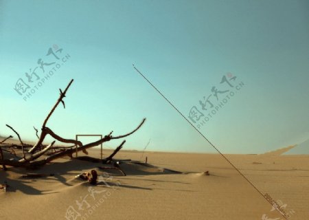 西北沙漠风景图片