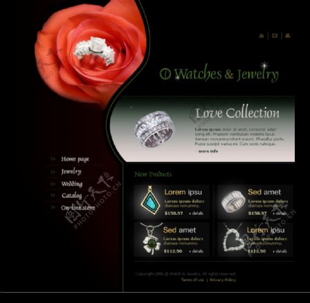 精美的欧美珠宝网页设计模板三图片