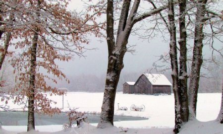 雪中小木屋图片