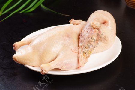 鸭美食白条鸭好吃的鸭子图片