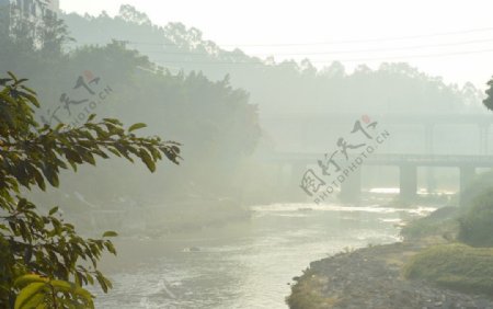晨雾中的河流图片