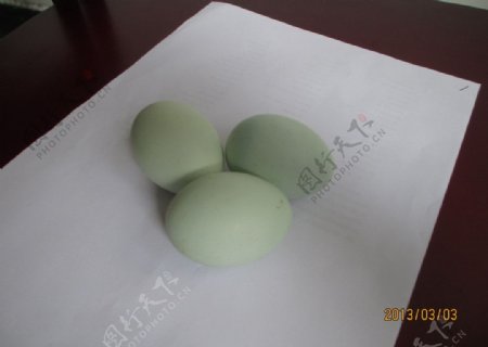 鸡蛋绿壳大鸡蛋图片
