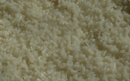 蒸煮的大米图片