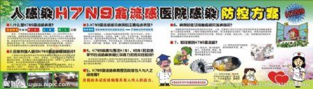 H7N9禽流感图片