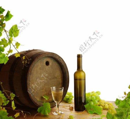 葡萄酒橡木桶图片
