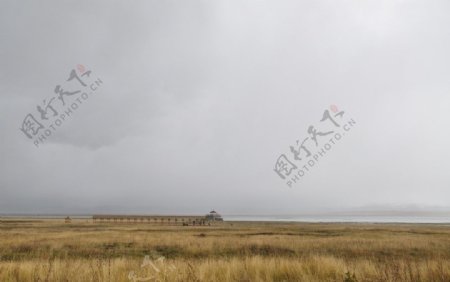 尕海湖芦苇图片