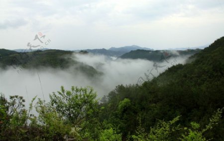 青山图片