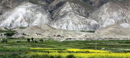 西藏自然风光图片