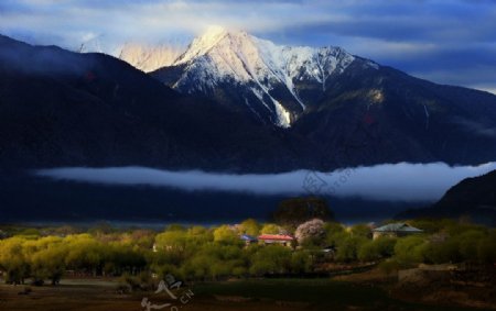 西藏林芝图片