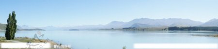 新西兰之奶色蒂卡波湖图片
