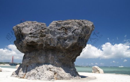 沙滩礁石图片