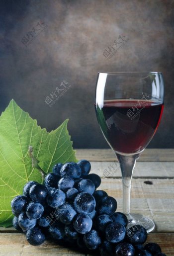 葡萄红酒图片