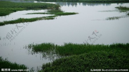 赵河水滨图片