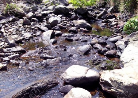 溪石水珠图片