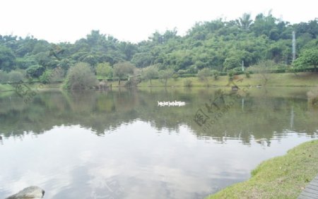 湖畔图片
