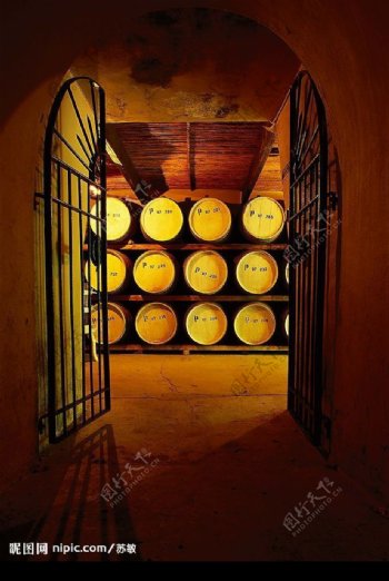 酒窖葡萄地橡木桶图片