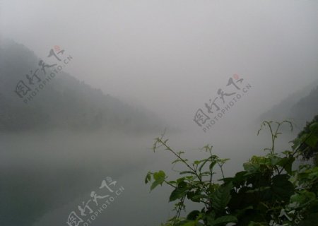 雾漫小东江图片