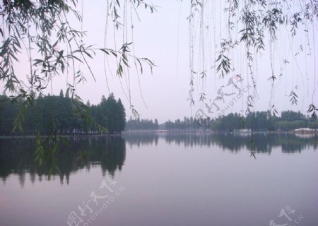 诗意东湖图片