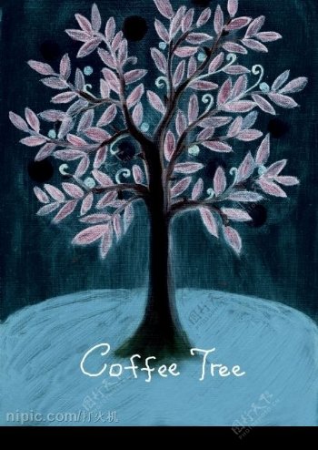 图画咖啡树图片