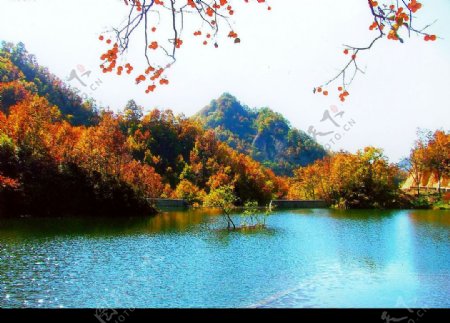 秋日美景图片