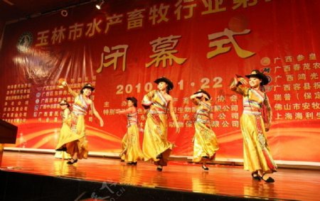 中式晚会表演藏族舞图片