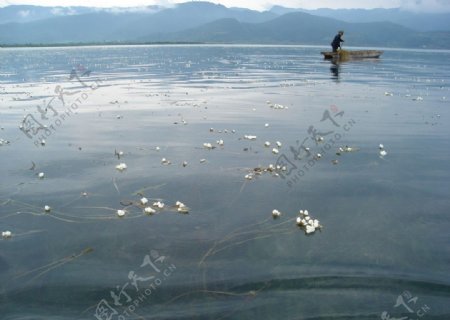 泸沽湖1图片