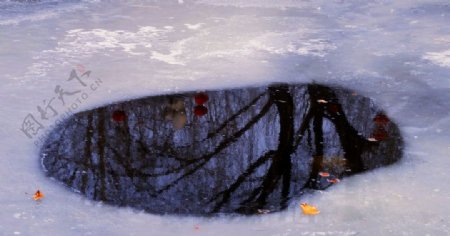 冰上倒影图片