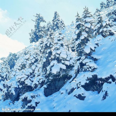 雪景图图片