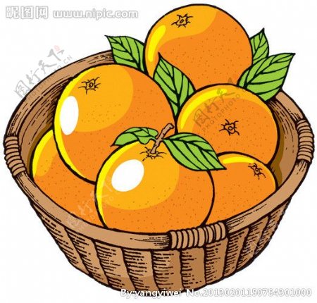 橙橘子桔子图片