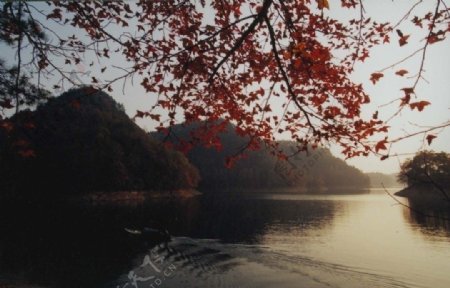 千岛湖风景图片