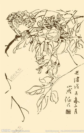 芥子园画谱花卉图片