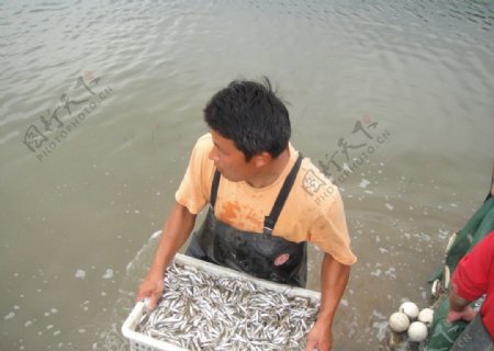 渔民打渔图片