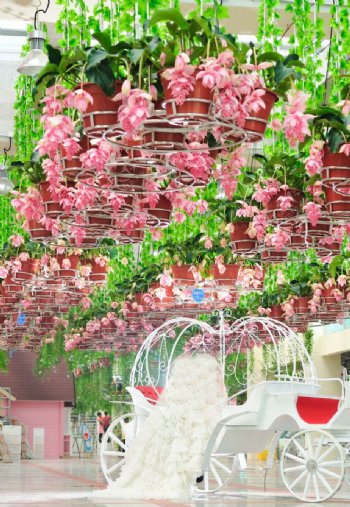 百万葵园海棠花图片