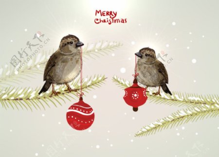 爱情小鸟圣诞节背景图片