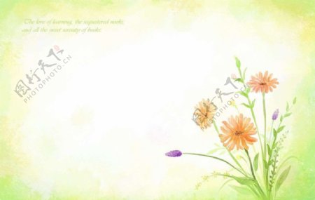 鲜花植物背景图片