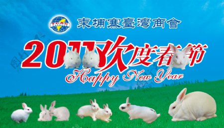2011欢度春节白兔大免图片