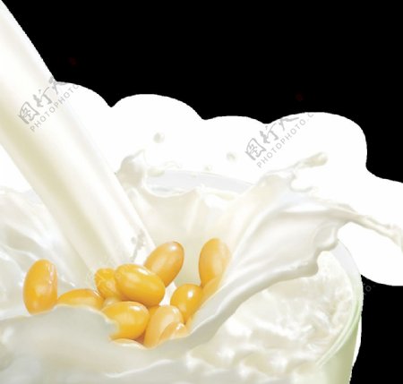 黄豆蛋白牛奶图片