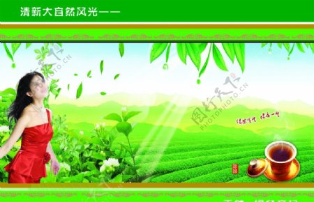 茶山茶园绿色图片