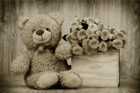 玩具熊和玫瑰图片