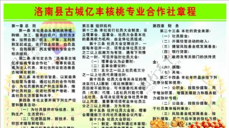 洛南县亿丰核桃专业合作社章程图片