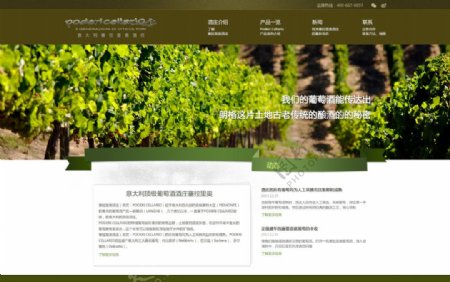 清新风格葡萄酒庄园网站设计图片