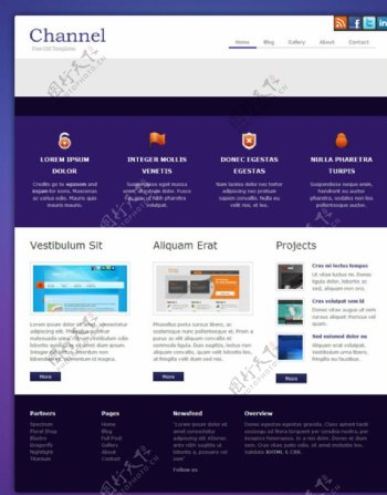 紫色企业项目网站模板图片
