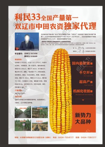 玉米宣传单页图片