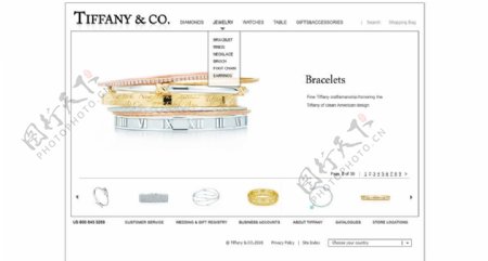 欧美珠宝网站首页模板图片