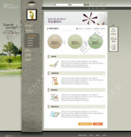 网站模板2图片