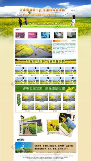 油菜花节网站模板图片