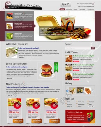 国外设计的麦当劳网站图片